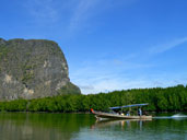 ท่าเรือท่าด่านศุลกากร ป่าชายเลน อุทยานแห่งชาติอ่าวพังงา อ.เมือง จ.พังงา